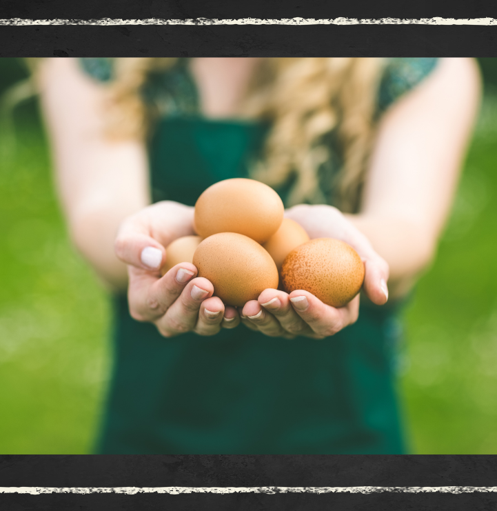 Farm Fresh Eggs